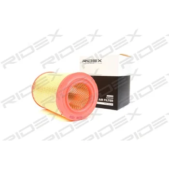 RIDEX 8A0134