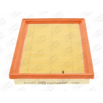 CHAMPION CAF100810P