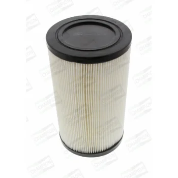 CHAMPION CAF100439C