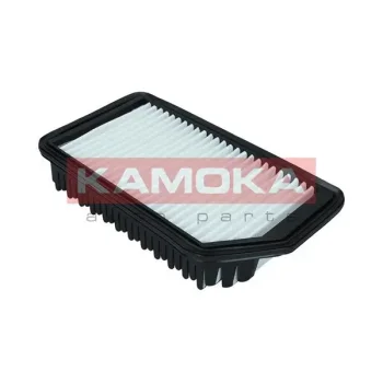 KAMOKA F246901
