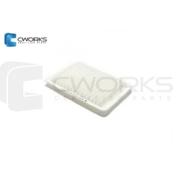 CWORKS B130170117