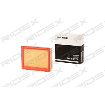 RIDEX 8A0224