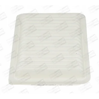CHAMPION CAF100942P