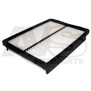 AVS AUTOPARTS PA710