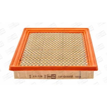 CHAMPION CAF100665P