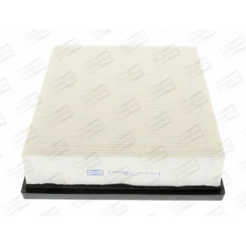 CHAMPION CAF100866P