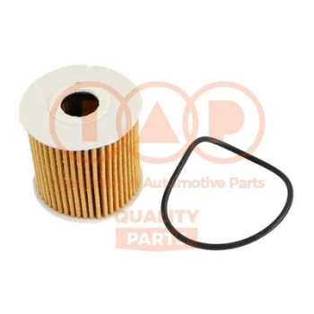 IAP QUALITY PARTS 123-13084