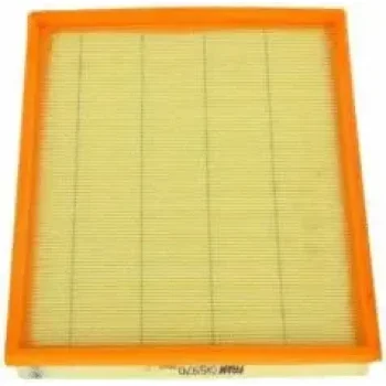 Fram-Au CA5970