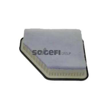 FRAM CA10596