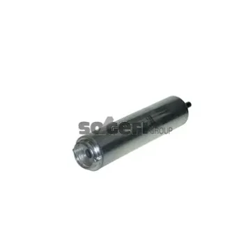 FRAM P11681