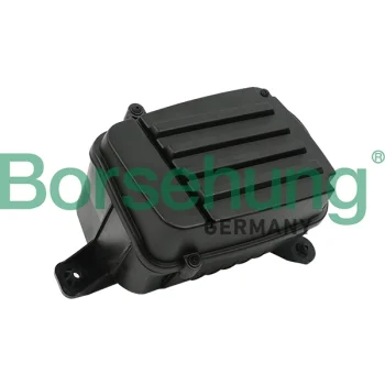 Borsehung B12829