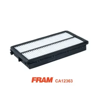 Fram-Au CA12363