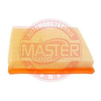 MASTER-SPORT GERMANY 2493-LF-PCS-MS