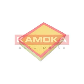 KAMOKA F249301
