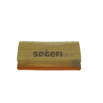 FRAM CA10599