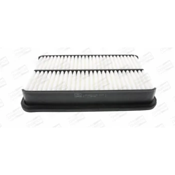 CHAMPION CAF100677P