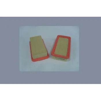STEP FILTERS AE42727