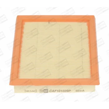 CHAMPION CAF101029P