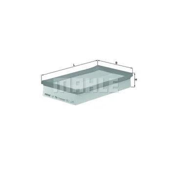 WILMINK GROUP WG1216802