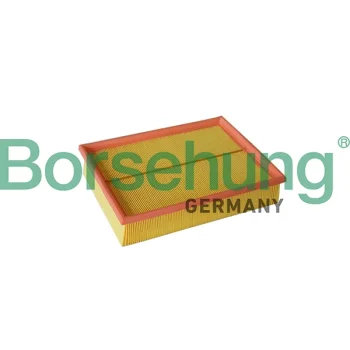 Borsehung B12213