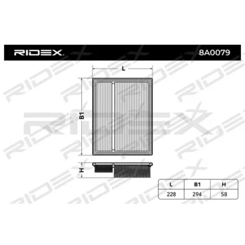 RIDEX 8A0079