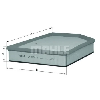 WILMINK GROUP WG1215962