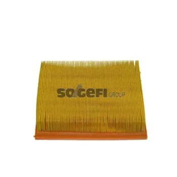 Fram-Au CA5891