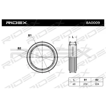 RIDEX 8A0009