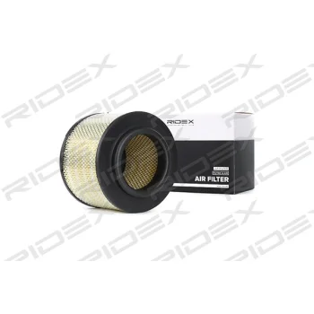 RIDEX 8A0231