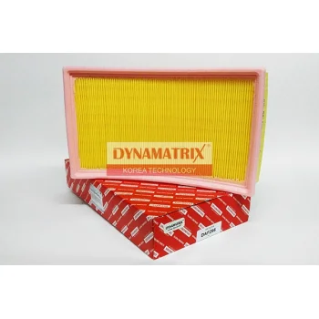 DYNAMATRIX DAF296