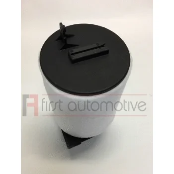 1A FIRST AUTOMOTIVE A63809