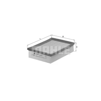 WILMINK GROUP WG1216635