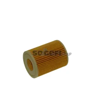 FRAM CH10876ECO