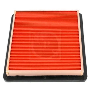 NPS M132A29