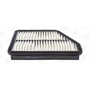 CHAMPION CAF100766P