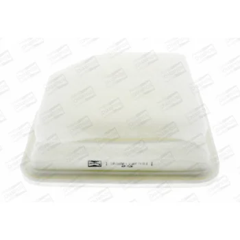 CHAMPION CAF100874P