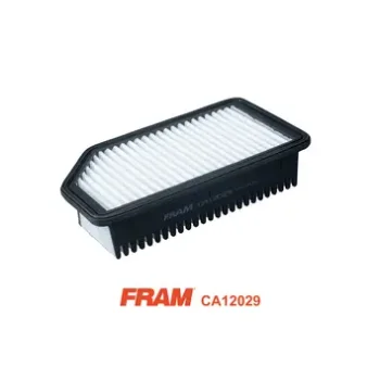 FRAM CA12029