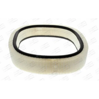 CHAMPION CAF100229R