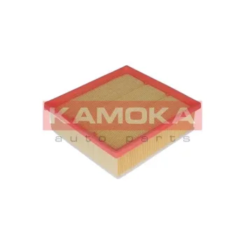 KAMOKA F222101