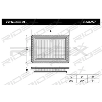 RIDEX 8A0257