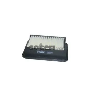 Fram-Au CA9728