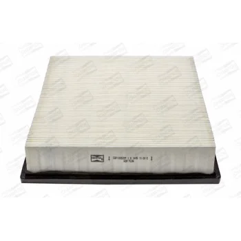 CHAMPION CAF100507P