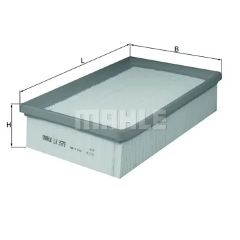 WILMINK GROUP WG1426396