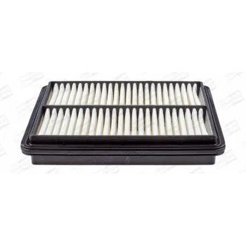 CHAMPION CAF100683P
