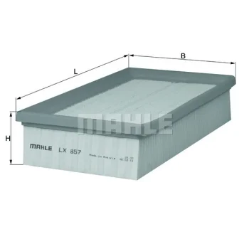 WILMINK GROUP WG1216861