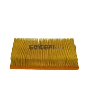 FRAM CA5829