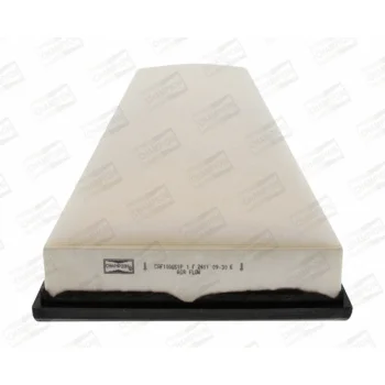 CHAMPION CAF100651P