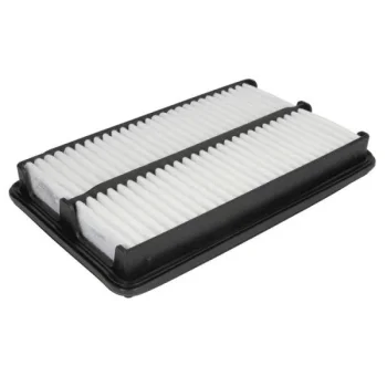 JC PREMIUM B24062PR