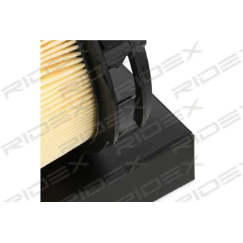 RIDEX 8A0194