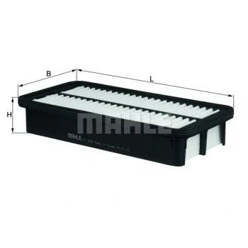WILMINK GROUP WG1216425